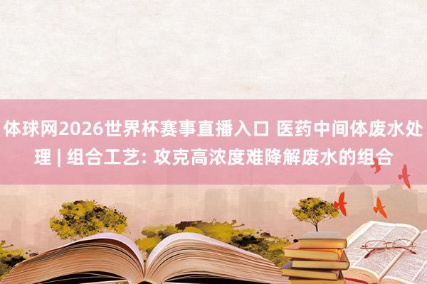 体球网2026世界杯赛事直播入口 医药中间体废水处理 | 组合工艺: 攻克高浓度难降解废水的组合