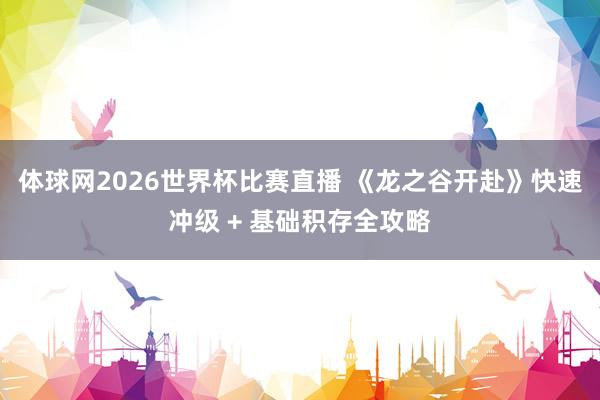 体球网2026世界杯比赛直播 《龙之谷开赴》快速冲级 + 基础积存全攻略