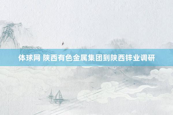 体球网 陕西有色金属集团到陕西锌业调研