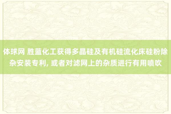 体球网 胜蓝化工获得多晶硅及有机硅流化床硅粉除杂安装专利, 或者对滤网上的杂质进行有用喷吹