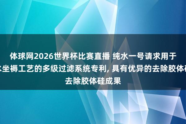 体球网2026世界杯比赛直播 纯水一号请求用于超纯水坐褥工艺的多级过滤系统专利, 具有优异的去除胶体硅成果