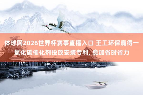 体球网2026世界杯赛事直播入口 王工环保赢得一氧化碳催化剂投放安装专利, 愈加省时省力