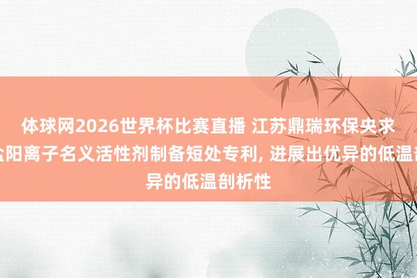 体球网2026世界杯比赛直播 江苏鼎瑞环保央求季铵盐阳离子名义活性剂制备短处专利, 进展出优异的低温剖析性