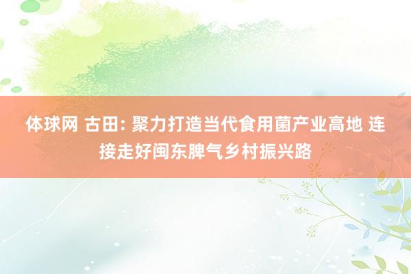 体球网 古田: 聚力打造当代食用菌产业高地 连接走好闽东脾气乡村振兴路