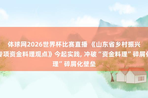 体球网2026世界杯比赛直播 《山东省乡村振兴紧要专项资金料理观点》今起实践, 冲破“资金料理”碎屑化壁垒