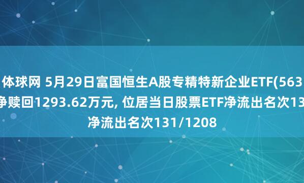 体球网 5月29日富国恒生A股专精特新企业ETF(563210)遭净赎回1293.62万元, 位居当日股票ETF净流出名次131/1208