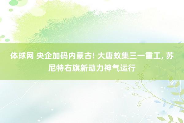 体球网 央企加码内蒙古! 大唐蚁集三一重工, 苏尼特右旗新动力神气运行