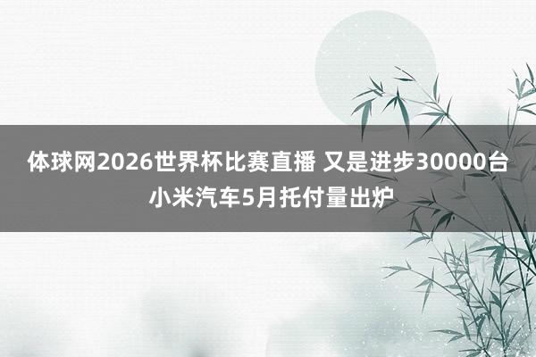 体球网2026世界杯比赛直播 又是进步30000台 小米汽车5月托付量出炉