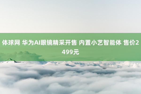 体球网 华为AI眼镜精采开售 内置小艺智能体 售价2499元