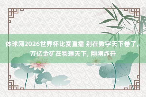 体球网2026世界杯比赛直播 别在数字天下卷了, 万亿金矿在物理天下, 刚刚炸开