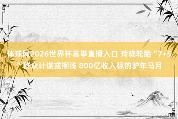 体球网2026世界杯赛事直播入口 玲珑轮胎“7+5”群众计谋或搁浅 800亿收入标的驴年马月