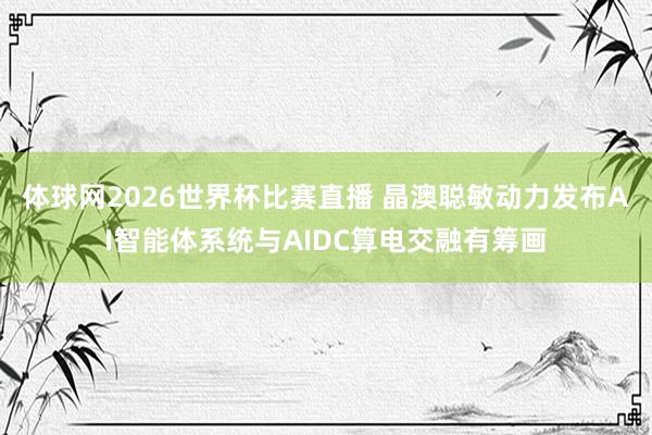 体球网2026世界杯比赛直播 晶澳聪敏动力发布AI智能体系统与AIDC算电交融有筹画