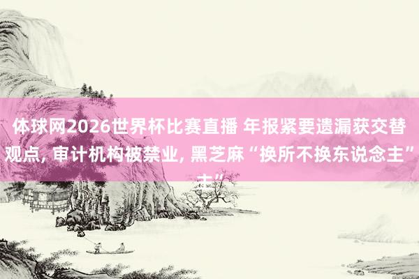 体球网2026世界杯比赛直播 年报紧要遗漏获交替观点, 审计机构被禁业, 黑芝麻“换所不换东说念主”