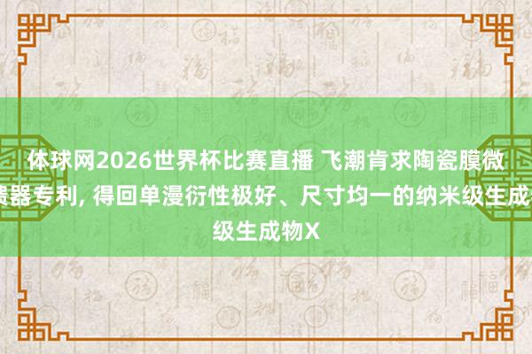 体球网2026世界杯比赛直播 飞潮肯求陶瓷膜微反馈器专利, 得回单漫衍性极好、尺寸均一的纳米级生成物X