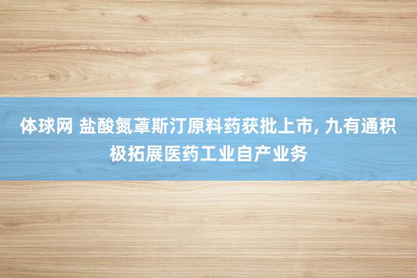 体球网 盐酸氮䓬斯汀原料药获批上市, 九有通积极拓展医药工业自产业务