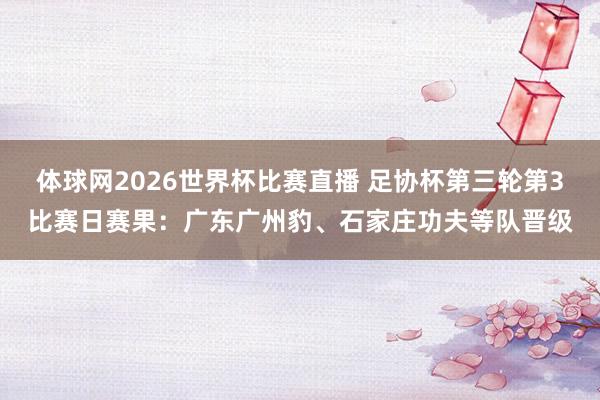 体球网2026世界杯比赛直播 足协杯第三轮第3比赛日赛果：广东广州豹、石家庄功夫等队晋级