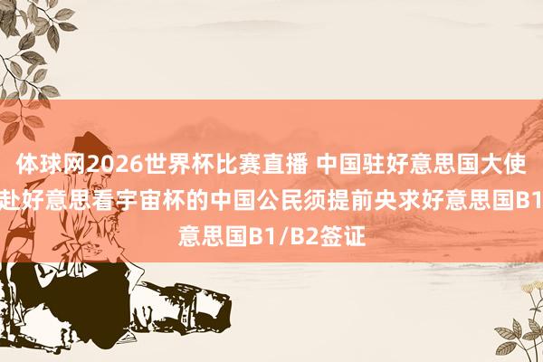 体球网2026世界杯比赛直播 中国驻好意思国大使馆教导: 赴好意思看宇宙杯的中国公民须提前央求好意思国B1/B2签证