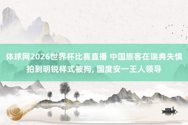 体球网2026世界杯比赛直播 中国旅客在瑞典失慎拍到明锐样式被拘, 国度安一王人领导