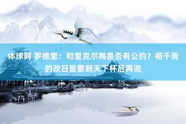 体球网 罗德里:和里克尔梅是否有公约?相干我的改日皆要到天下杯后再说