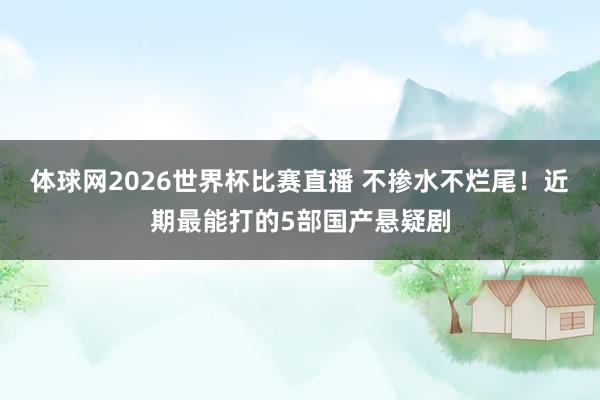 体球网2026世界杯比赛直播 不掺水不烂尾！近期最能打的5部国产悬疑剧