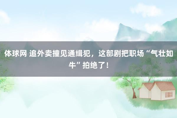体球网 追外卖撞见通缉犯,这部剧把职场“气壮如牛”拍绝了!