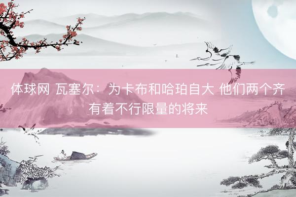 体球网 瓦塞尔:为卡布和哈珀自大 他们两个齐有着不行限量的将来