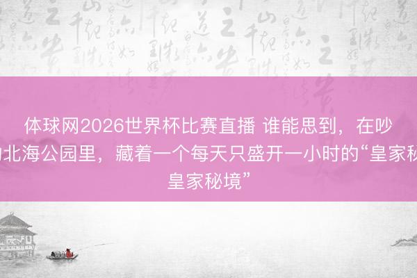 体球网2026世界杯比赛直播 谁能思到，在吵杂的北海公园里，藏着一个每天只盛开一小时的“皇家秘境”