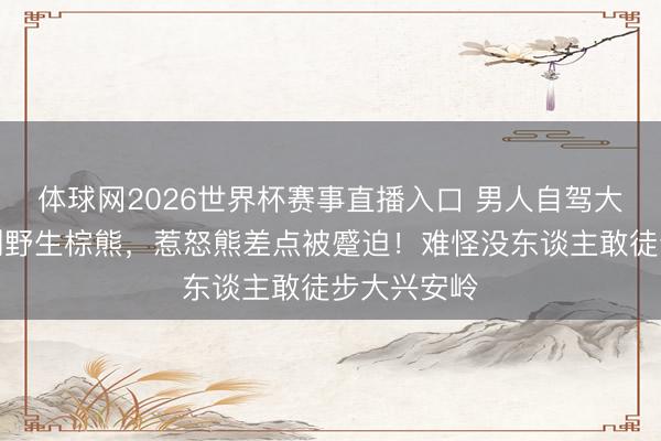 体球网2026世界杯赛事直播入口 男人自驾大兴安岭遇到野生棕熊，惹怒熊差点被蹙迫！难怪没东谈主敢徒步大兴安岭