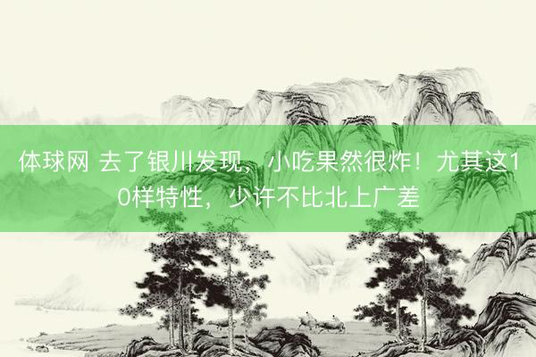 体球网 去了银川发现,小吃果然很炸!尤其这10样特性,少许不比北上广差