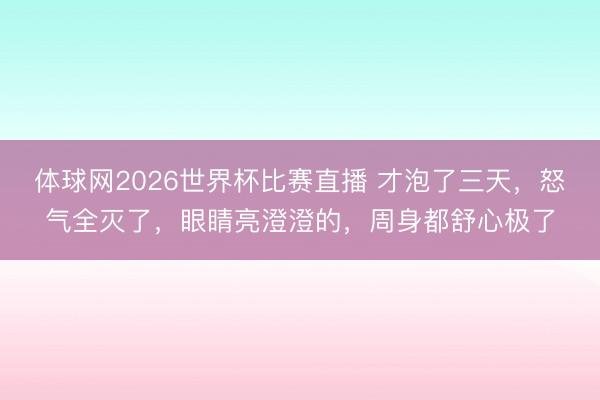 体球网2026世界杯比赛直播 才泡了三天，怒气全灭了，眼睛亮澄澄的，周身都舒心极了