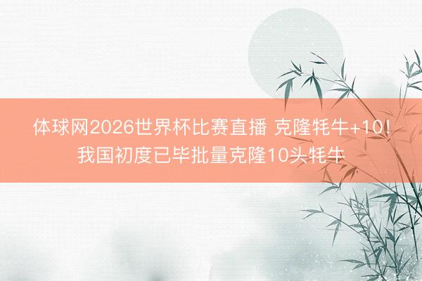 体球网2026世界杯比赛直播 克隆牦牛+10！我国初度已毕批量克隆10头牦牛