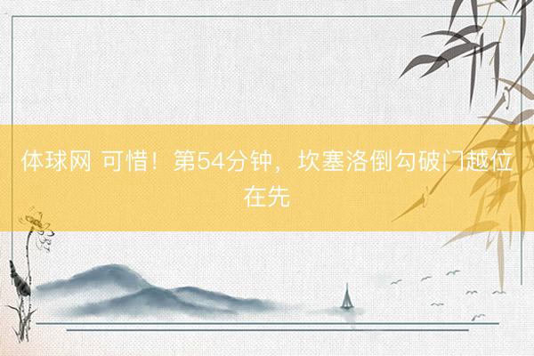 体球网 可惜！第54分钟，坎塞洛倒勾破门越位在先